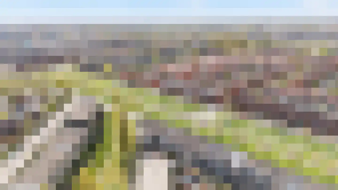 Dotterbloem 24 Zwolle thumbnail 32