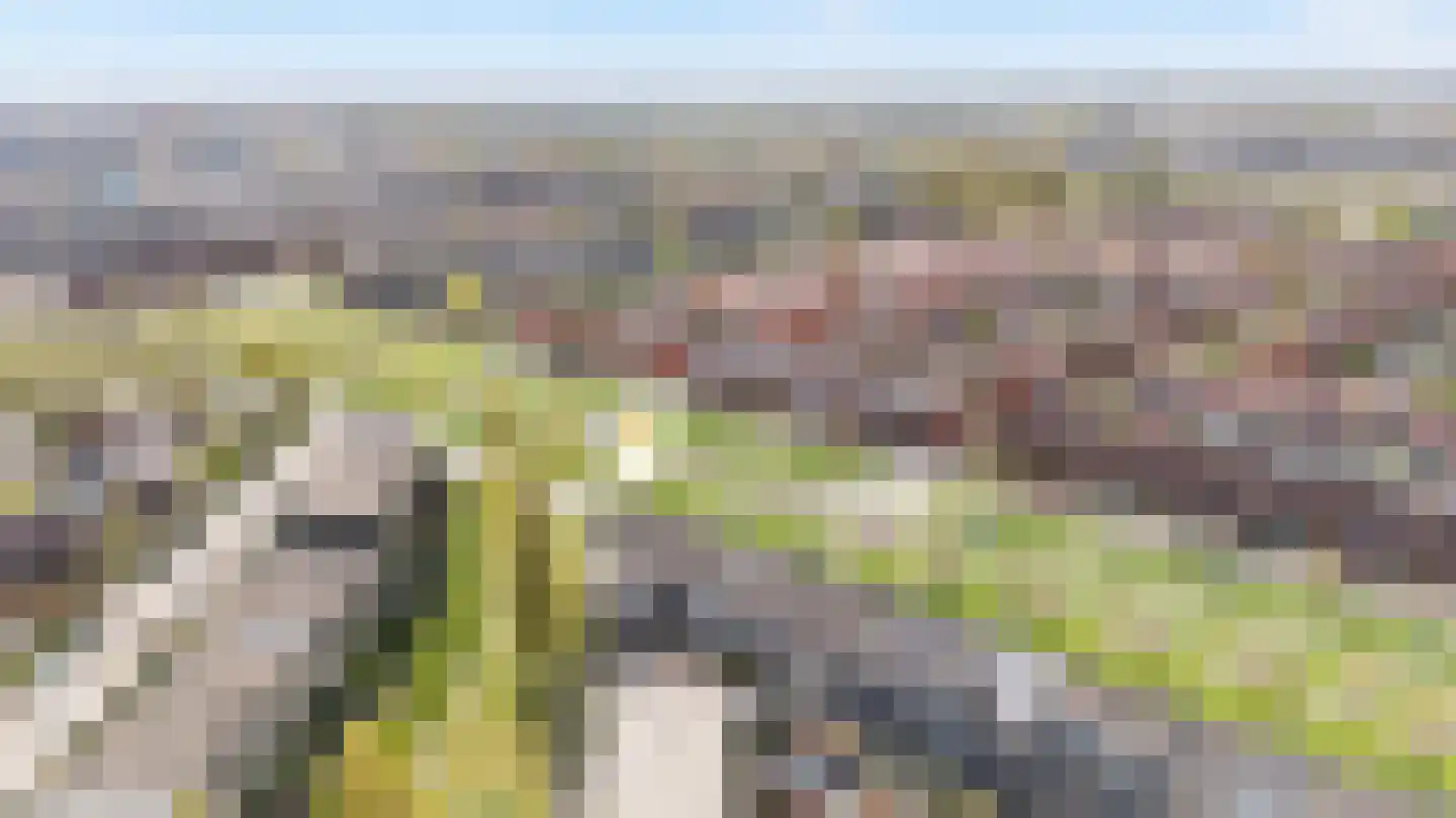 Dotterbloem 24 Zwolle thumbnail 33