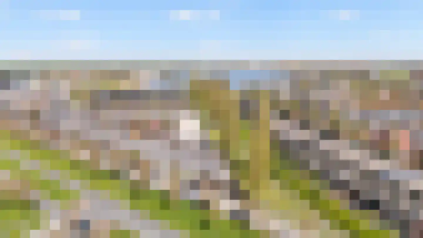Dotterbloem 24 Zwolle thumbnail 34