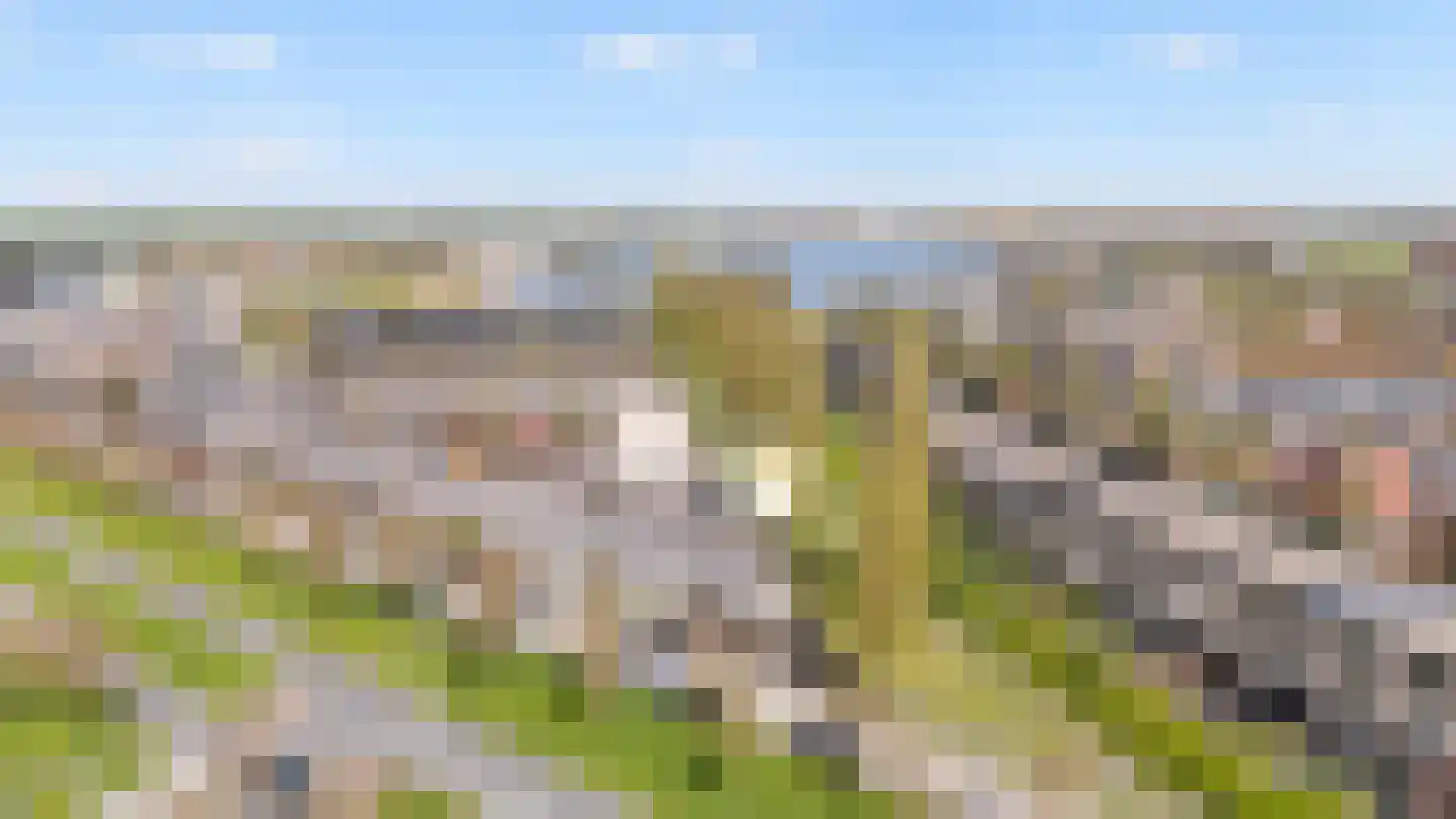 Dotterbloem 24 Zwolle thumbnail 35