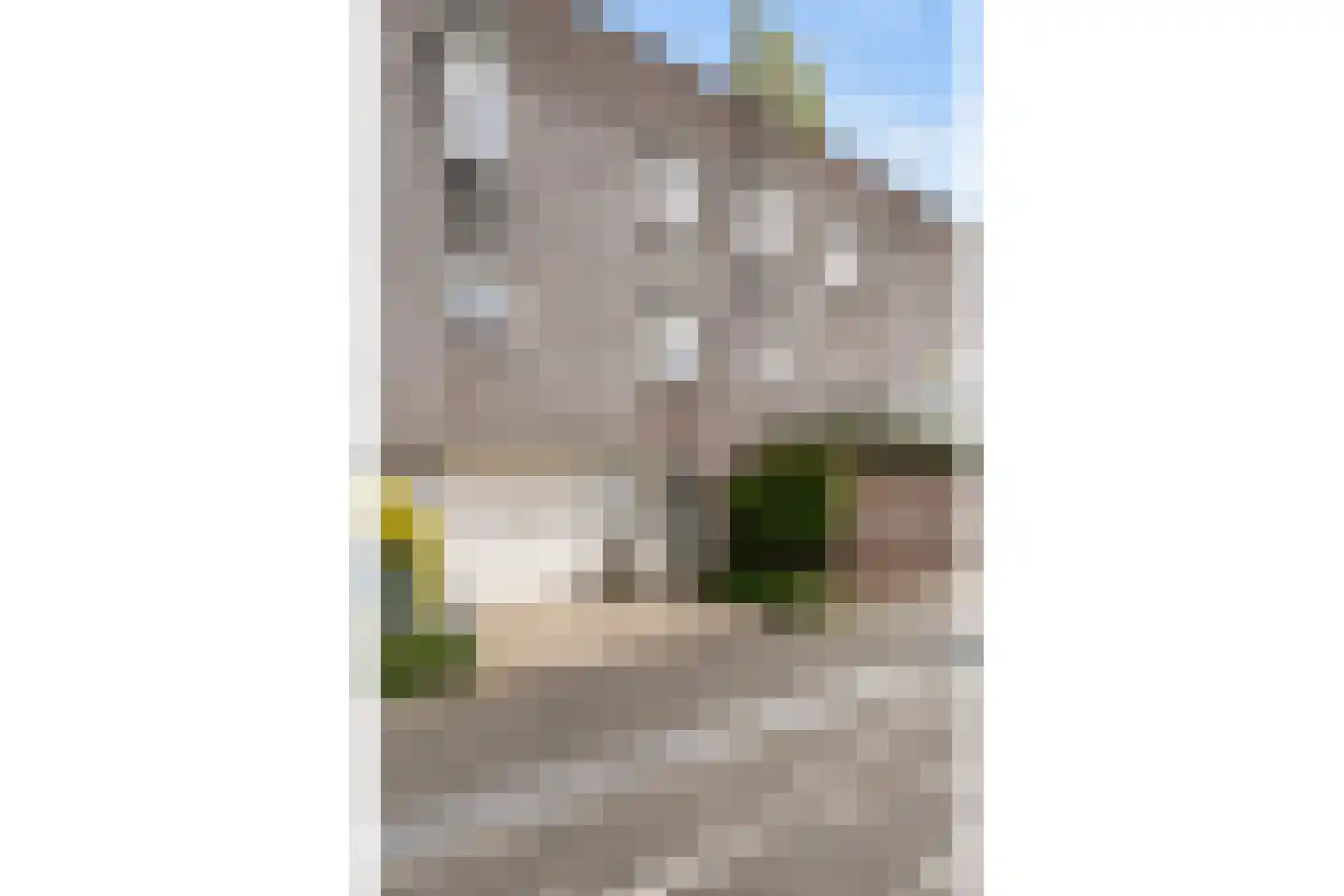 Dotterbloem 24 Zwolle thumbnail 37