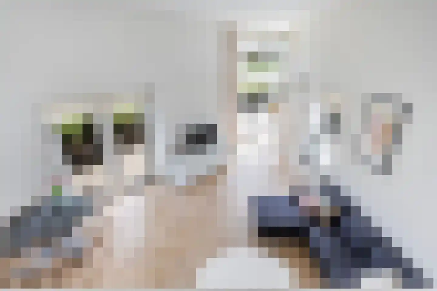 Dotterbloem 24 Zwolle thumbnail 4