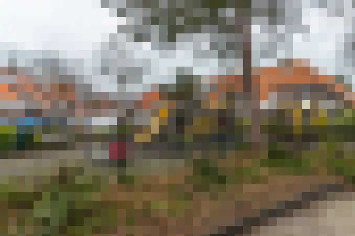 Dotterbloem 25 Naaldwijk thumbnail 31