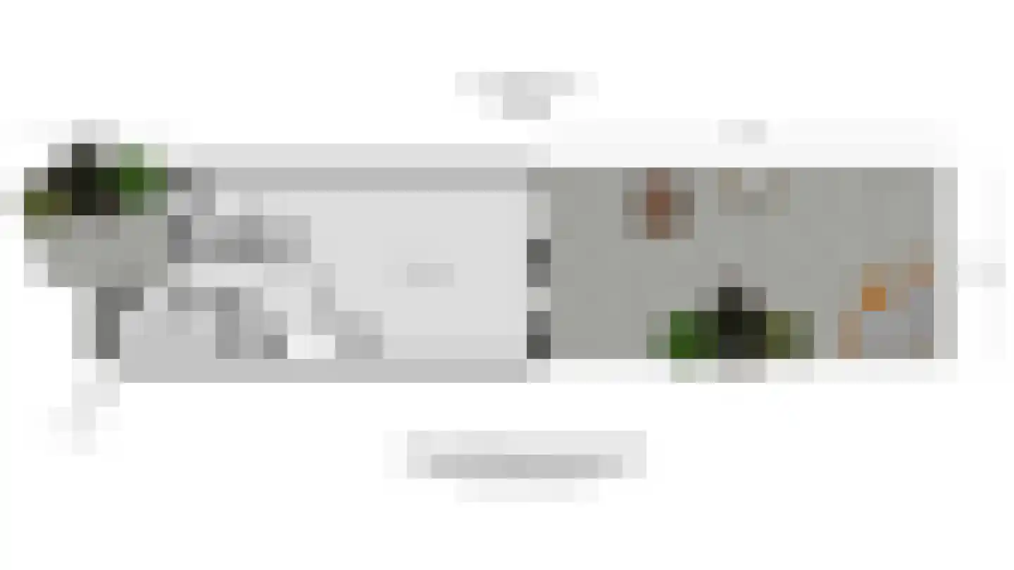Dotterbloem 25 Naaldwijk thumbnail 32