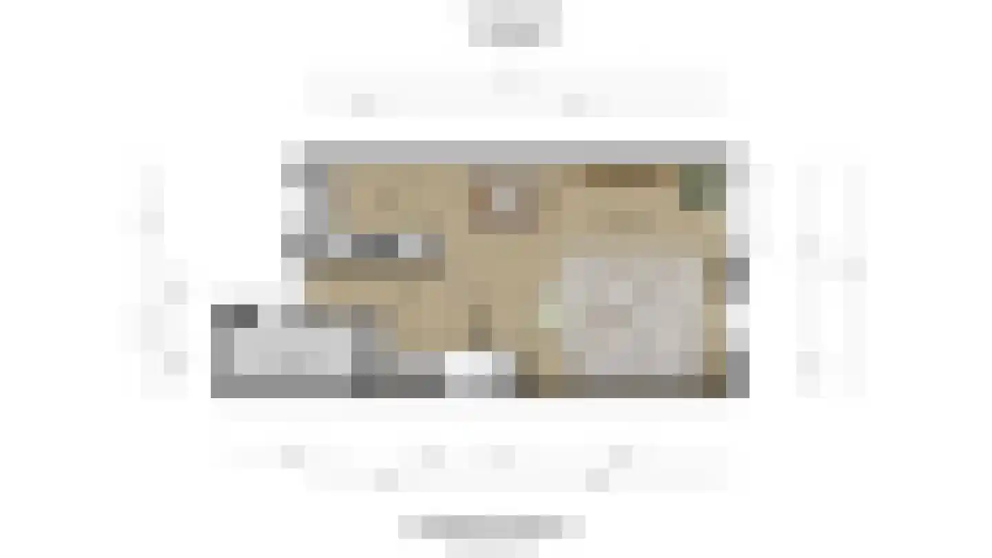 Dotterbloem 25 Naaldwijk thumbnail 33