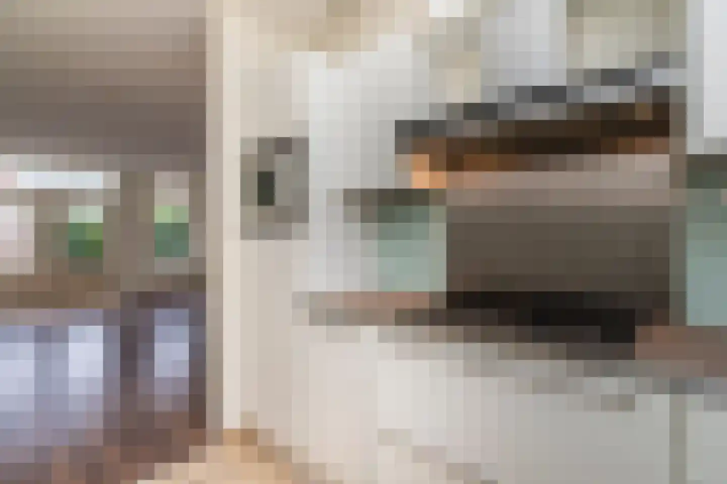 Dotterbloem 25 Naaldwijk thumbnail 8