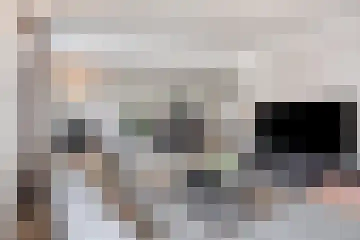 Dotterbloem 26 Schaijk thumbnail 12