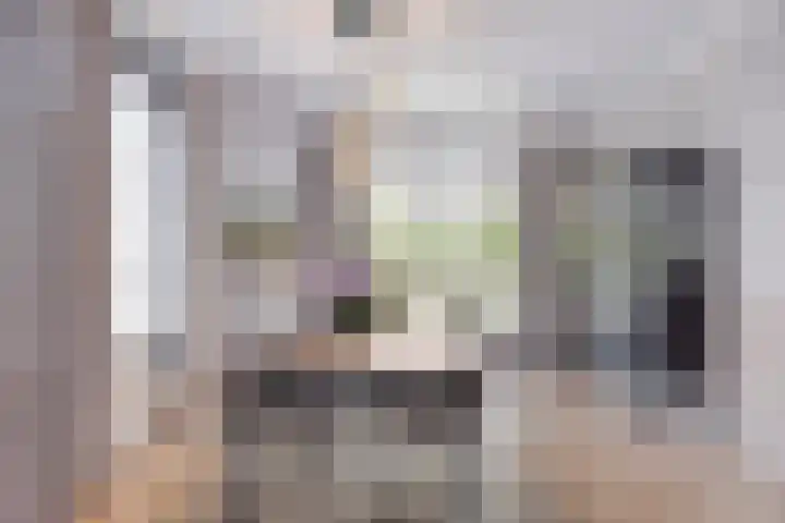 Dotterbloem 26 Schaijk thumbnail 15