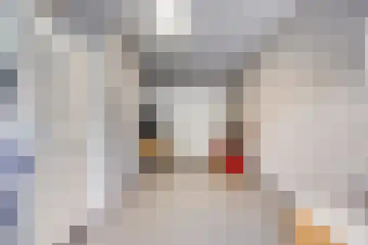 Dotterbloem 26 Schaijk thumbnail 27