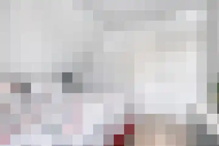 Dotterbloem 26 Schaijk thumbnail 31