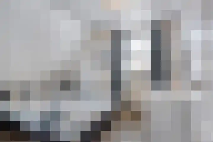 Dotterbloem 26 Schaijk thumbnail 34