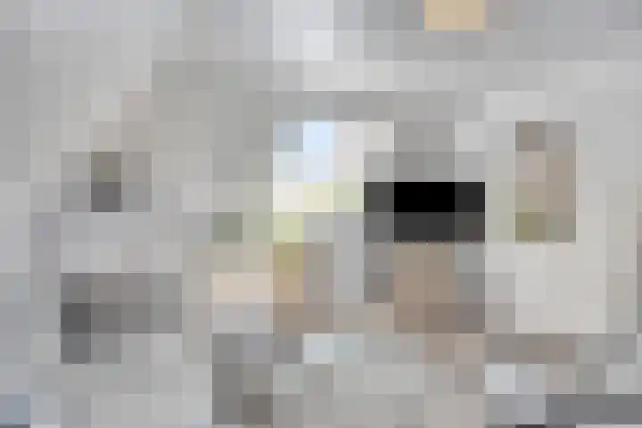 Dotterbloem 26 Schaijk thumbnail 40