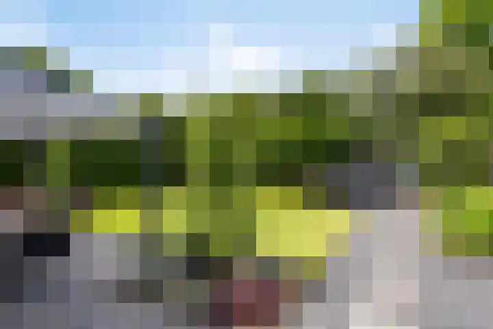 Dotterbloem 26 Schaijk thumbnail 43