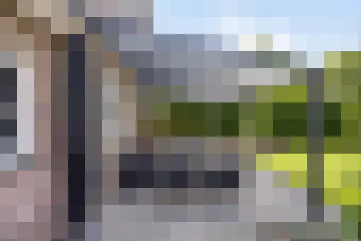 Dotterbloem 26 Schaijk thumbnail 44