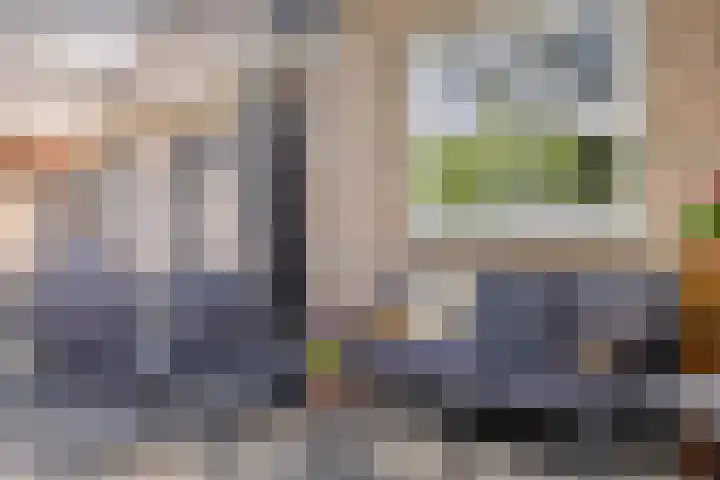 Dotterbloem 26 Schaijk thumbnail 45