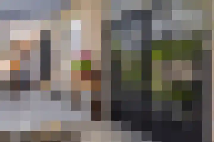 Dotterbloem 26 Schaijk thumbnail 47