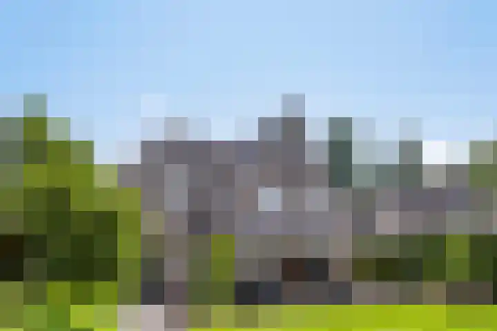 Dotterbloem 26 Schaijk thumbnail 5