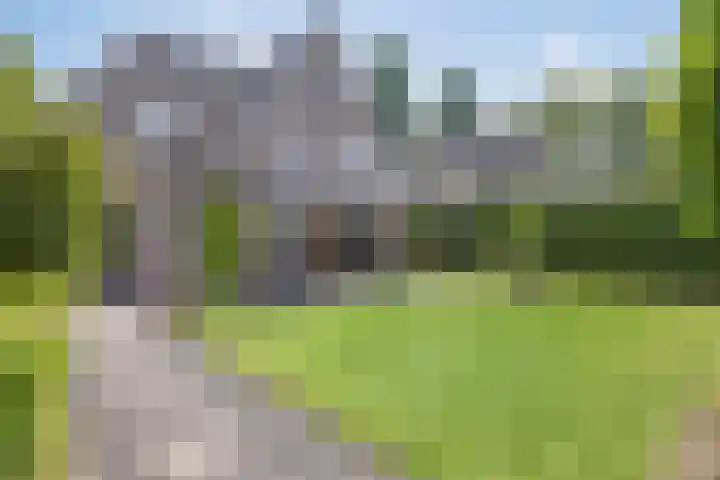 Dotterbloem 26 Schaijk thumbnail 52