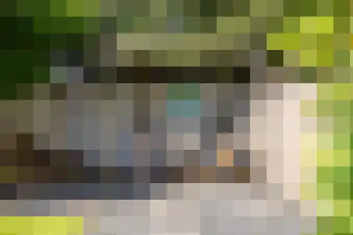 Dotterbloem 26 Schaijk thumbnail 54