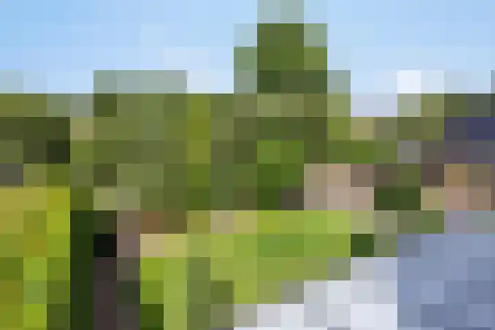 Dotterbloem 26 Schaijk thumbnail 56