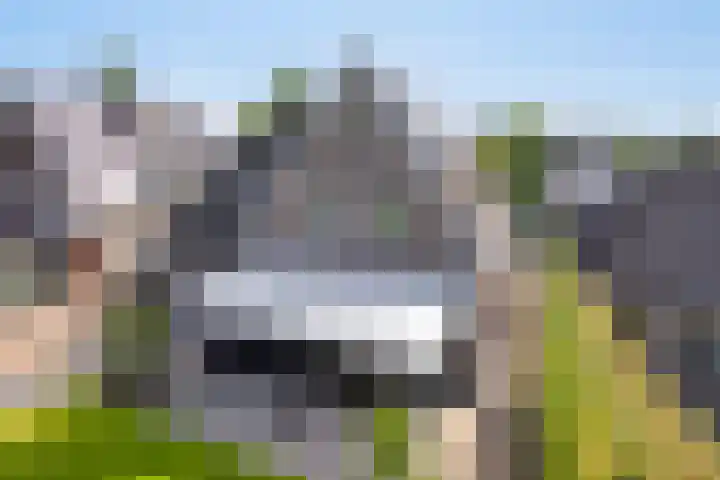 Dotterbloem 26 Schaijk thumbnail 57