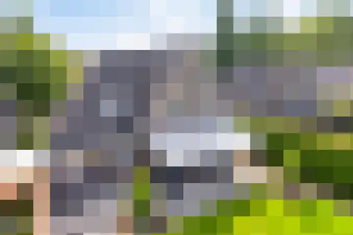 Dotterbloem 26 Schaijk thumbnail 58