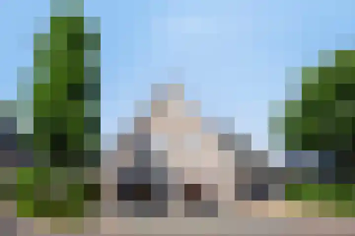 Dotterbloem 26 Schaijk thumbnail 6
