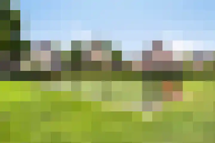 Dotterbloem 26 Schaijk thumbnail 62
