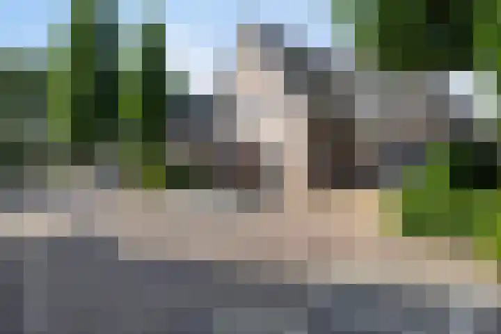 Dotterbloem 26 Schaijk thumbnail 64