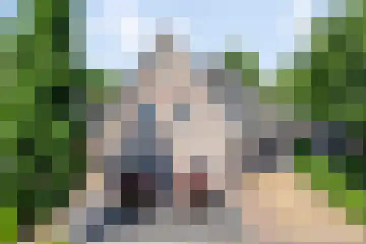 Dotterbloem 26 Schaijk thumbnail 66