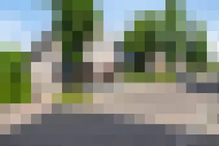 Dotterbloem 26 Schaijk thumbnail 68