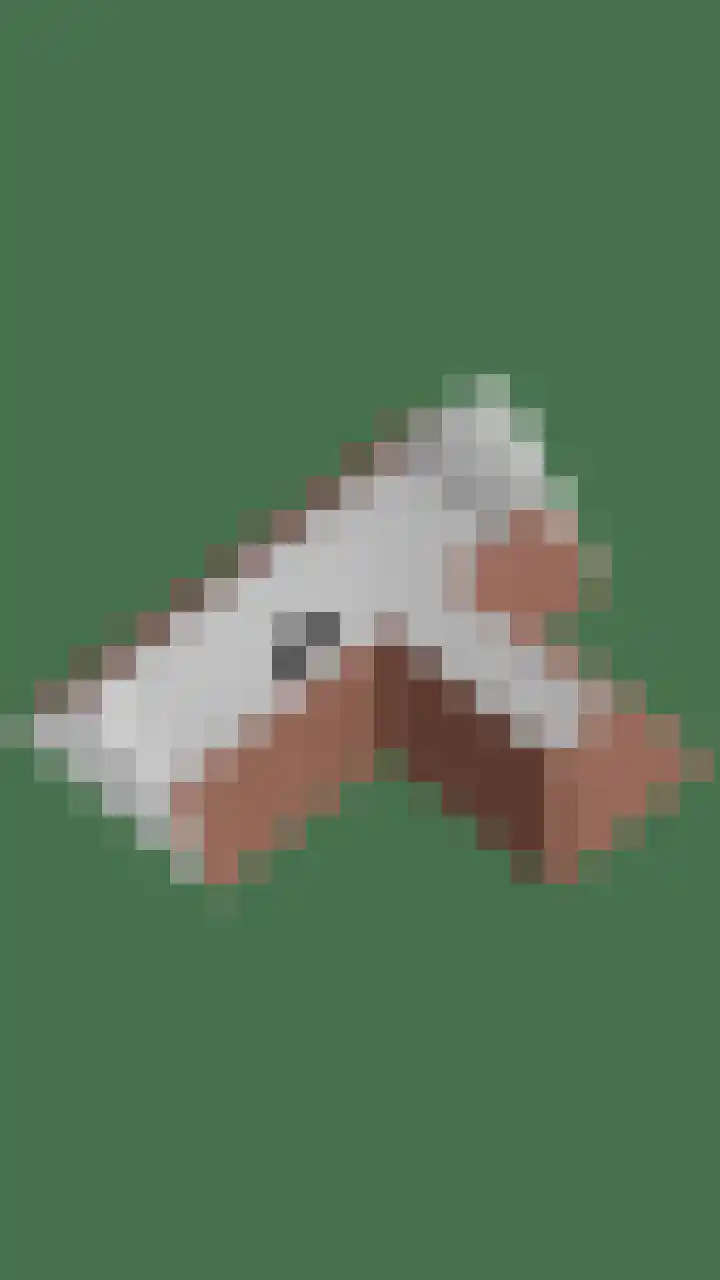 Dotterbloem 26 Schaijk thumbnail 77
