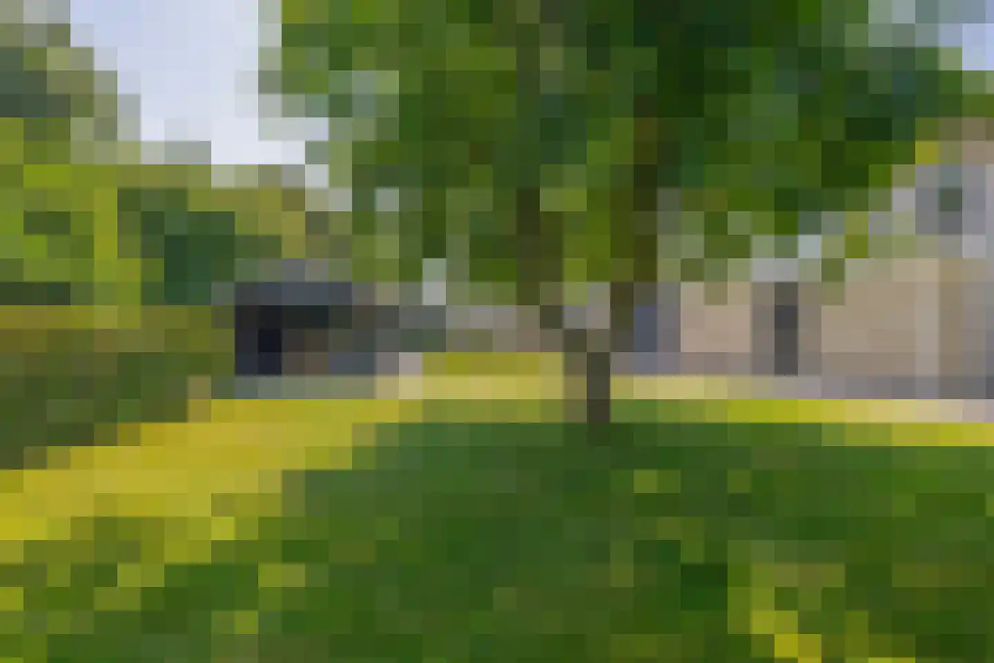 Dotterbloem 27 Scheemda thumbnail 32