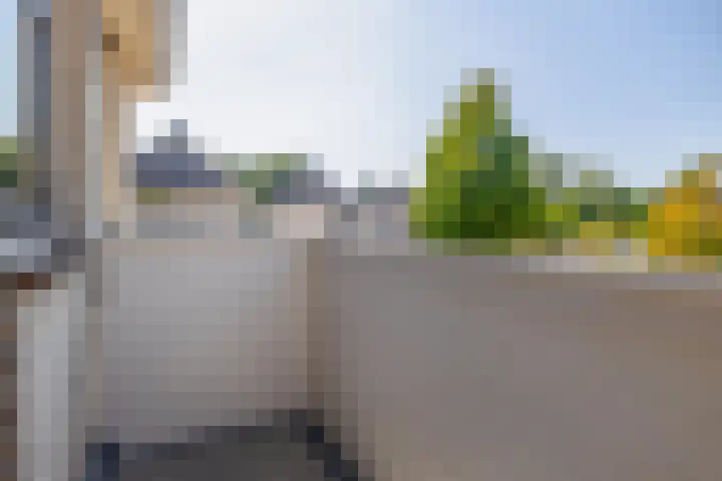 Dotterbloem 27 Scheemda thumbnail 44