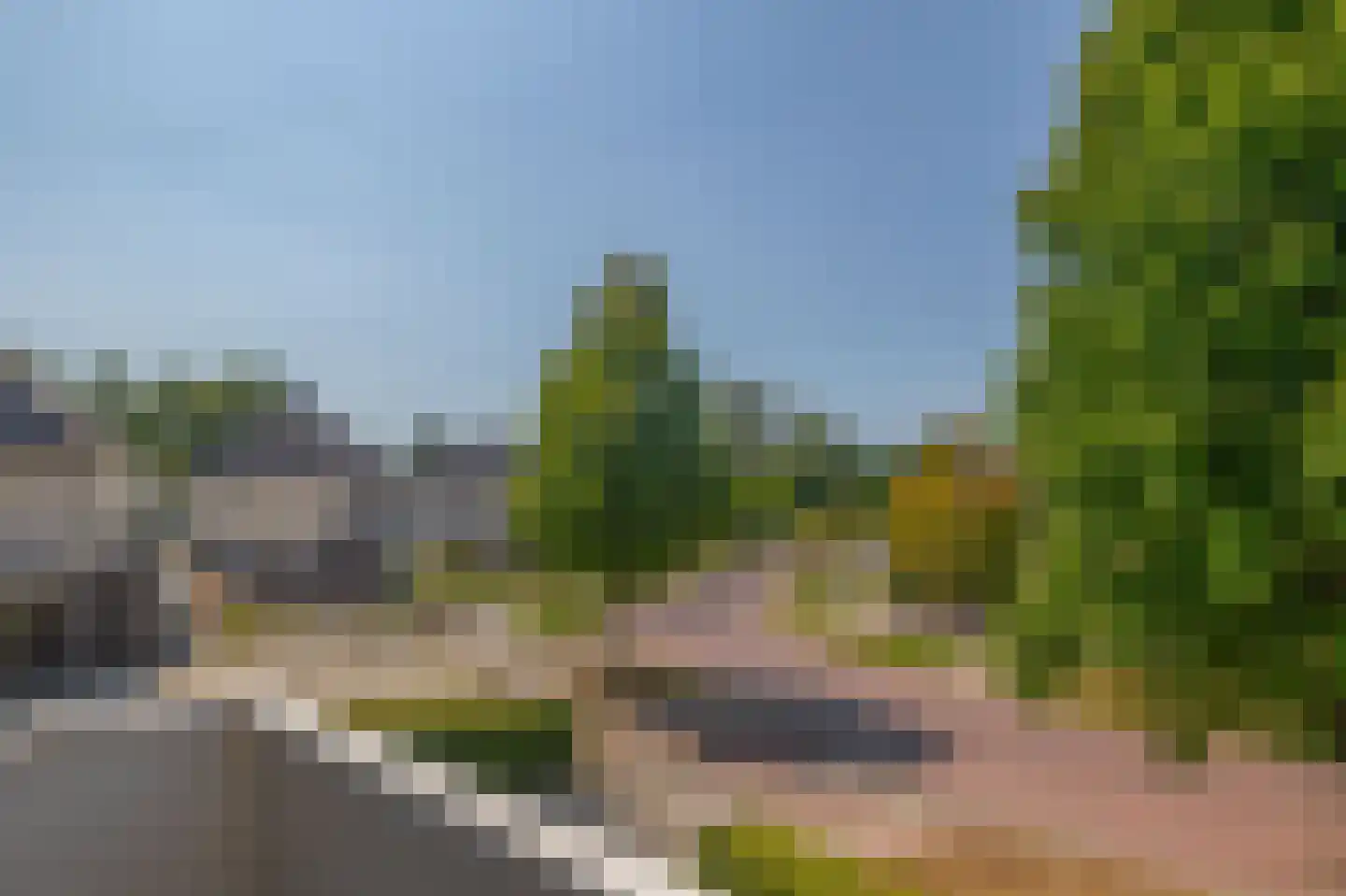 Dotterbloem 27 Scheemda thumbnail 45