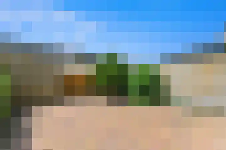 Dotterbloem 29 Den Hoorn thumbnail 13