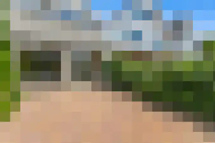 Dotterbloem 29 Den Hoorn thumbnail 15