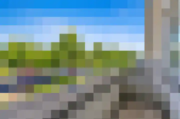 Dotterbloem 29 Den Hoorn thumbnail 24