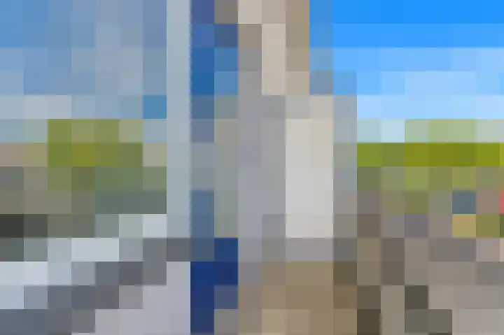 Dotterbloem 29 Den Hoorn thumbnail 25
