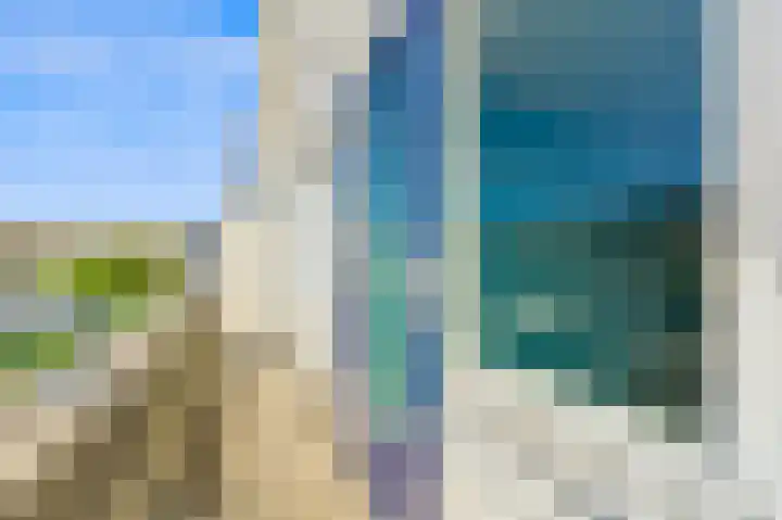 Dotterbloem 29 Den Hoorn thumbnail 34