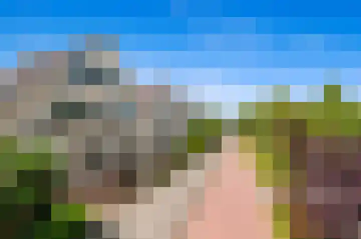Dotterbloem 29 Den Hoorn thumbnail 4
