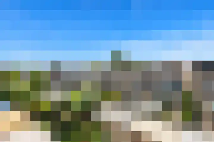 Dotterbloem 29 Den Hoorn thumbnail 43