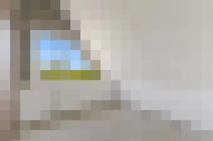 Dotterbloem 29 Den Hoorn thumbnail 47