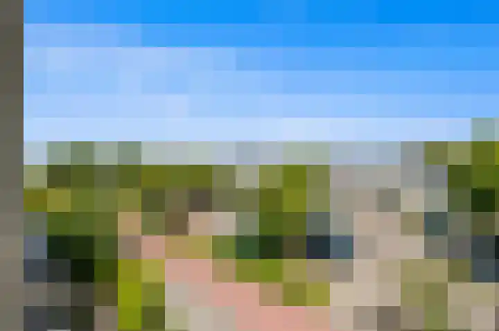 Dotterbloem 29 Den Hoorn thumbnail 48