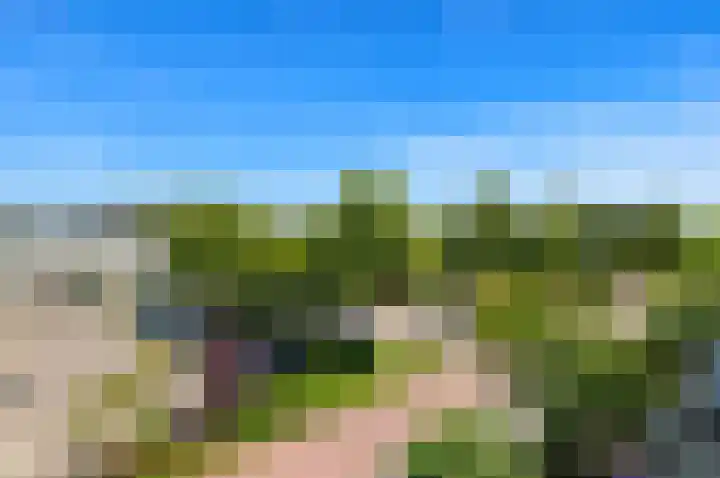 Dotterbloem 29 Den Hoorn thumbnail 49