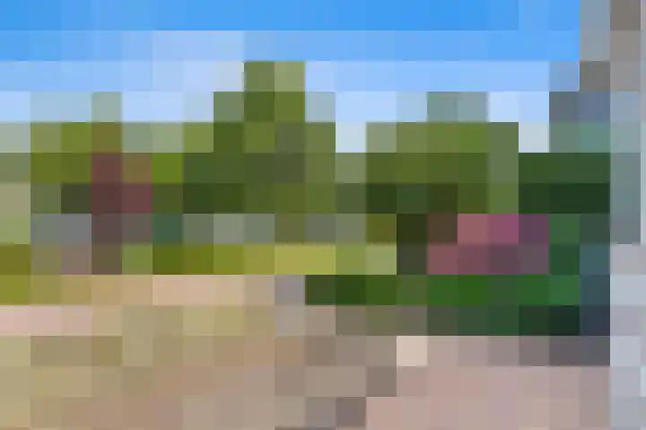 Dotterbloem 29 Den Hoorn thumbnail 5