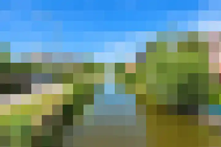 Dotterbloem 29 Den Hoorn thumbnail 56