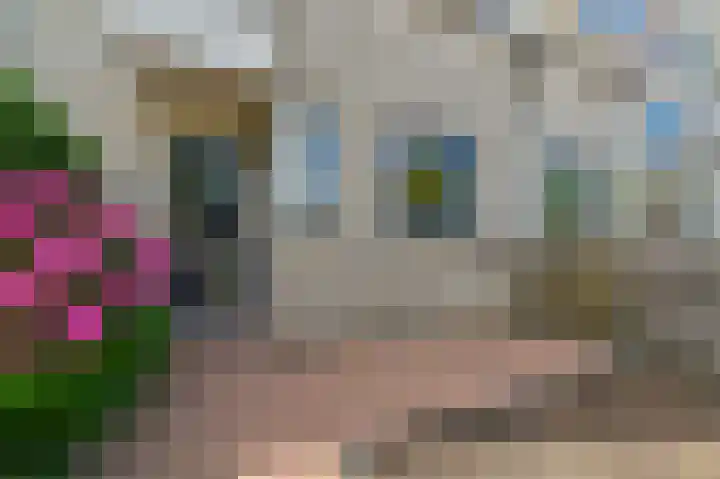 Dotterbloem 29 Den Hoorn thumbnail 6