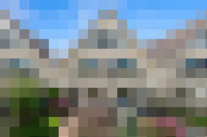 Dotterbloem 29 Den Hoorn thumbnail 64