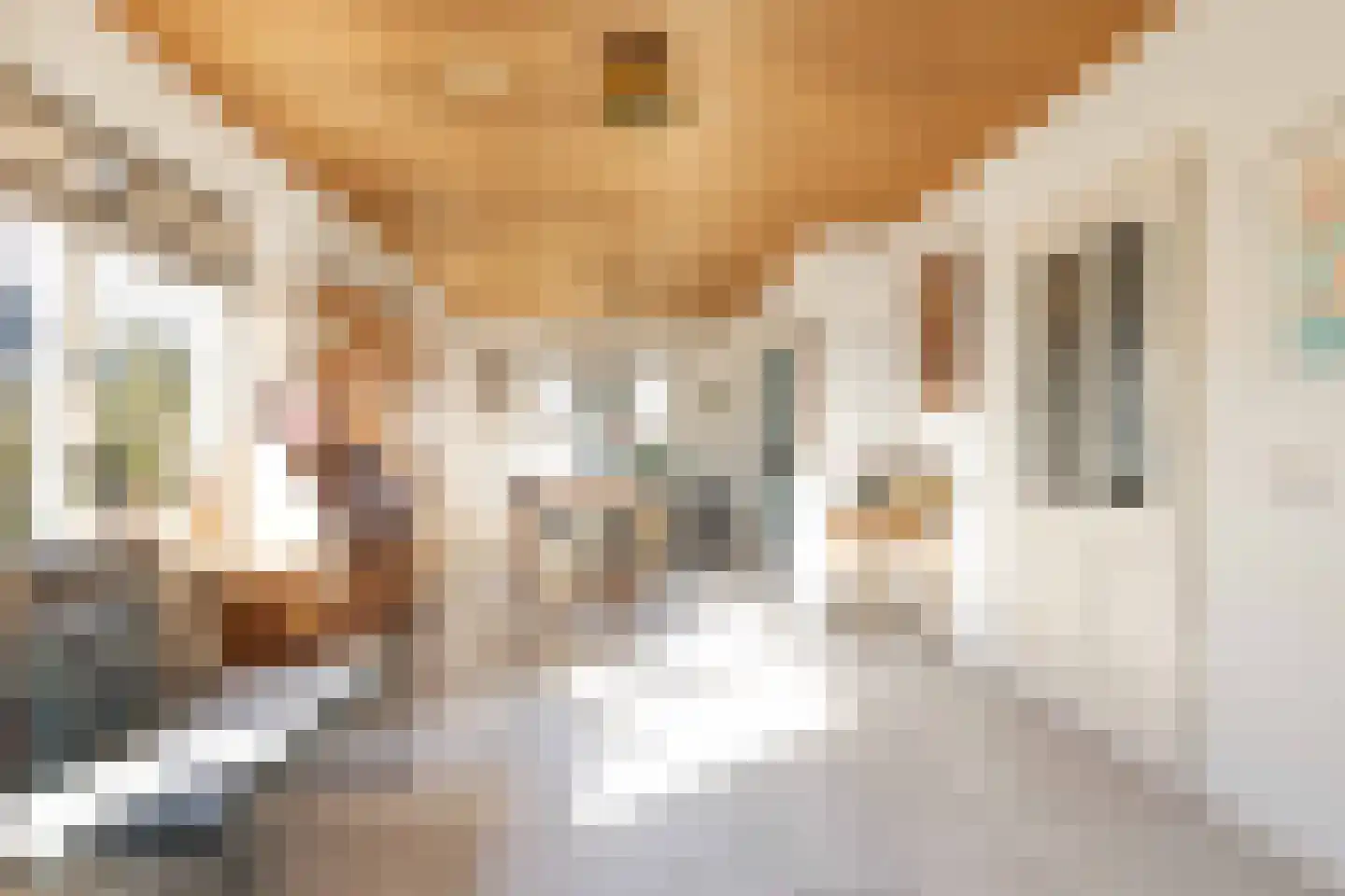 Dotterbloem 29 Hoogeveen thumbnail 13